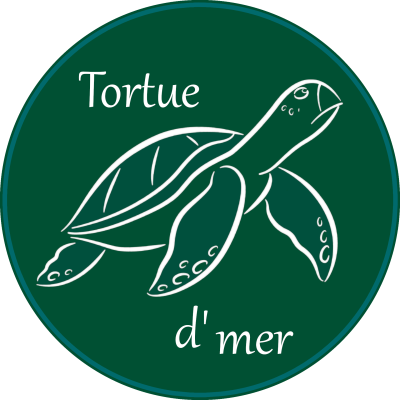Tortue d'mer
