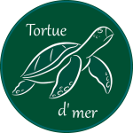 Tortue d'mer